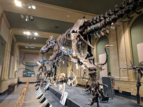 Kenosha Dinosaur Discovery Museum - 46 Photos & 15 Reviews - Museums - 5608 10th Ave, Kenosha ...