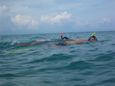 Snorkeling at Aopong beach : AoPong Resort - Holiday in Thailand - Koh Mak island - Quiet place ...