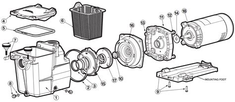 Hayward Super Pump/Max-Flo Seal Plate SPX2600E5 | Perry's Pool Pump