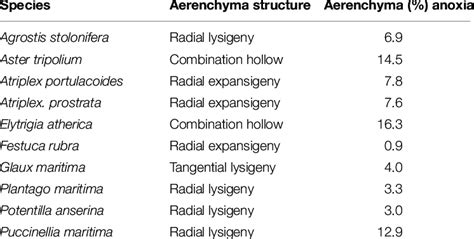 | Structure and mean percentage of aerenchyma of plants that grew under ...