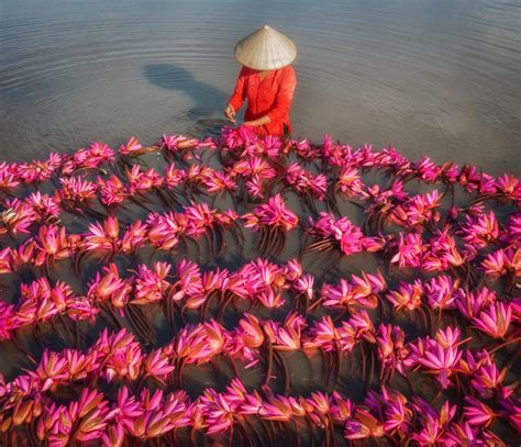 Pham Huy Trung Captures Stunning Aerial Views Of Vietnam's Heritage And Industry | FREEYORK