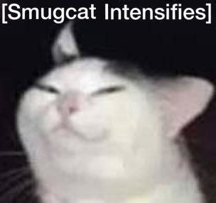 Smugcat | Smug Cat | Know Your Meme