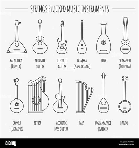 Musical instruments graphic template. Strings plucked. Vector ...