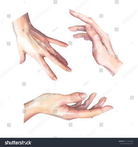 Watercolor Hands Gesture Set Isolated Human Stock Illustration 1716429403 | Shutterstock