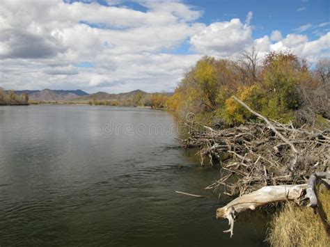 Selenge river Mongolia stock image. Image of angling - 38322151