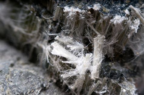 Asbestos Management - Environmental Health and Safety Services ...