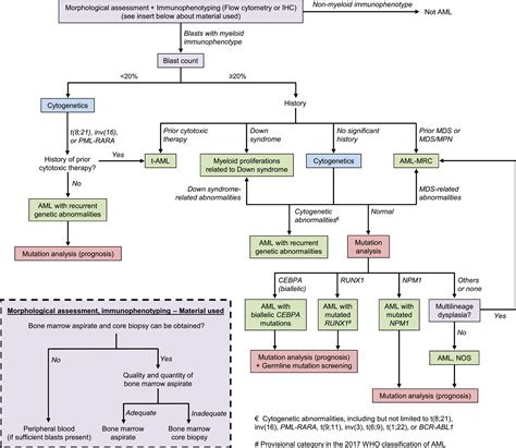 How I investigate acute myeloid leukemia - Narayanan - 2020 - International Journal of ...