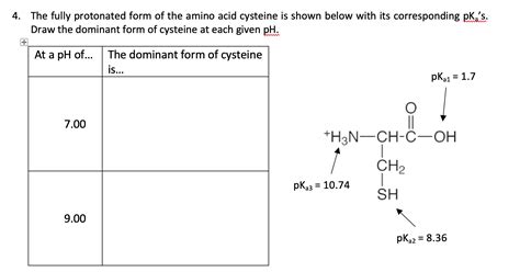 Solved 4. The fully protonated form of the amino acid | Chegg.com