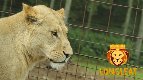 Longleat Tickets, 20% Off Exclusive Discount