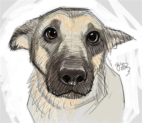 Puppy-eyes by EJ-Su on DeviantArt | Animal drawings, Dog art, Dog drawing