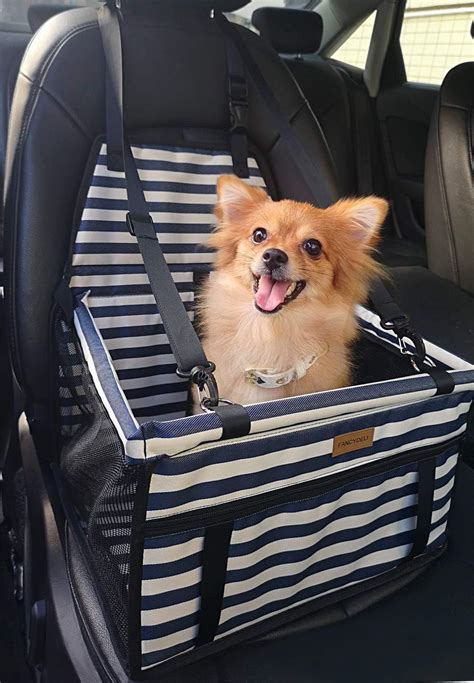 Best Dog Car Seats (Review & Buying Guide) in 2020 | The Drive