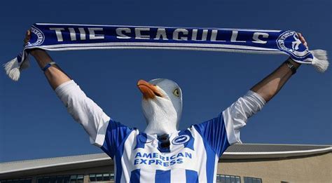 Image result for brighton seagulls | Brighton, Seagull, Image