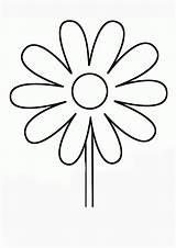 Coloring Pages And Daisy sketch template