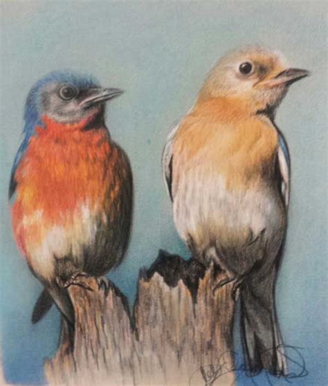 Butterflies and Birds in Colored Pencil and Pastel | Artists Network