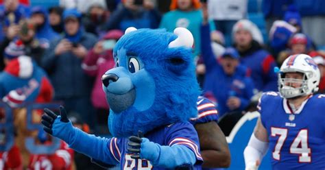 The Buffalo Bills are looking for someone to be their mascot, Billy Buffalo - Buffalo Rumblings