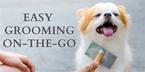 Easy Grooming On-The-Go! - Cherrybrook Pet Supplies