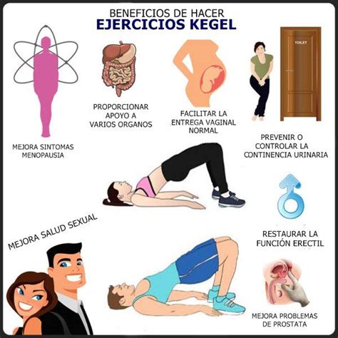 Ejercicios de kegel: beneficios, objetivos y precauciones