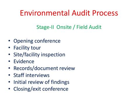 Environmental Audit