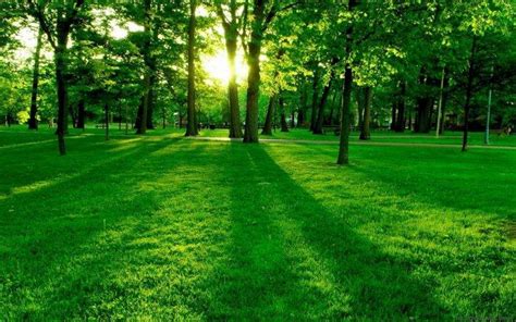 nature, Landscape, Green, Grass Wallpapers HD / Desktop and Mobile Backgrounds