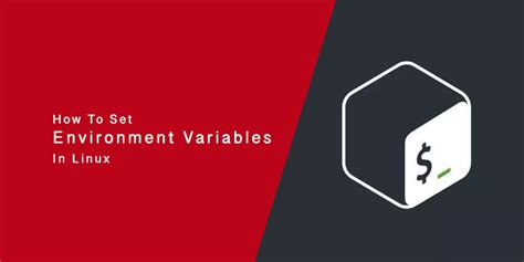 How to Set Environment Variables in Linux - Serverlab