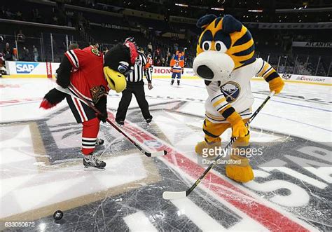 Mascot Tommy Hawk Photos and Premium High Res Pictures - Getty Images