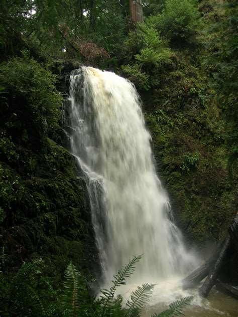 Big Basin Waterfalls – Leor Pantilat's Adventures