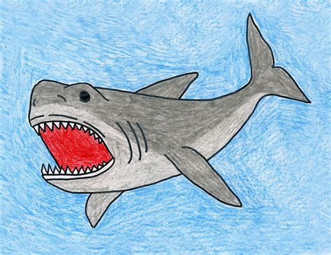 Draw a Shark - Art Projects for Kids