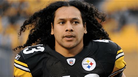 Troy Polamalu - Biography, Height & Life Story | Super Stars Bio