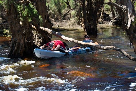 Upper Murray River Camping