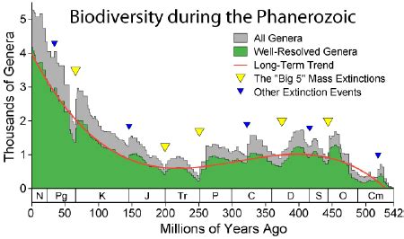 Phanerozoic - New World Encyclopedia