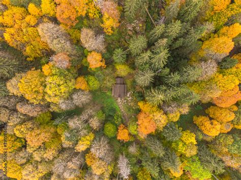 Fall forest landscape view from above. Colorful nature background ...