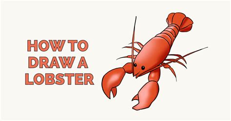 Lobster clipart easy draw, Lobster easy draw Transparent FREE for download on WebStockReview 2023