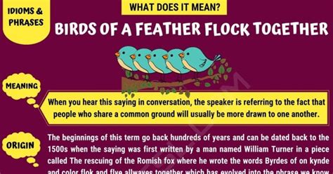 Birds of A Feather Flock Together: What It Means & Where It Has Come From • 7ESL