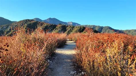 10 Best Trails and Hikes in Sierra Madre | AllTrails