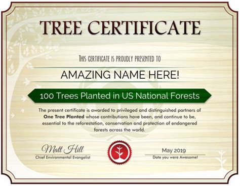 Plant Trees in a National Forest – onetreeplantedssda.org