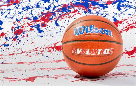 Wilson USA Special Edition Evolution Basketball | GearCulture