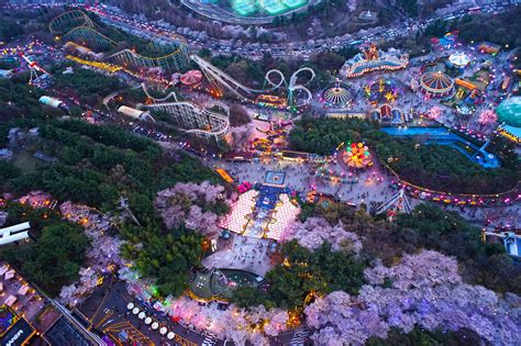 Korea Cherry Blossom Festival 2018: “Starlight” Cherry Blossom Festival ...