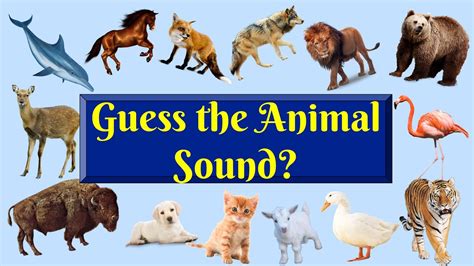 Guess the Animal Sound Game | Animal Sounds Quiz | Animal Trivia/Animal Sounds | sonidos de ...