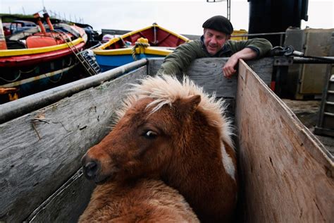 Foula—the Most Remote Inhabited Island in Great Britain - The Atlantic