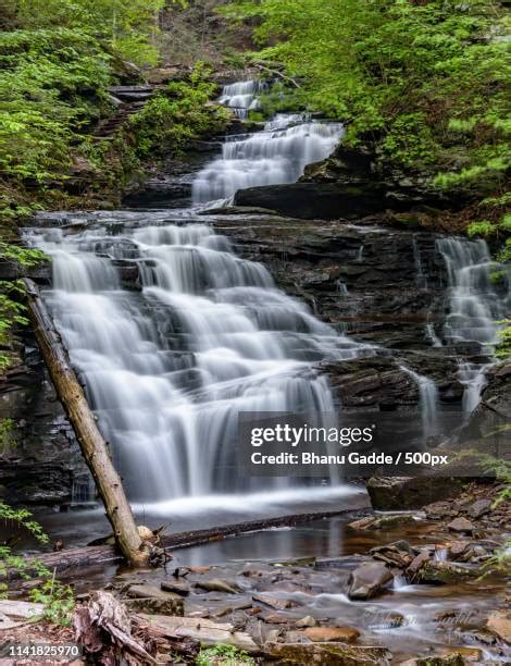 16 Mohican State Park Stock Photos, High-Res Pictures, and Images ...