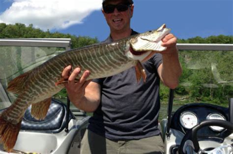 Tiger Muskellunge Fishing Guide | How to Catch a Tiger Muskellunge