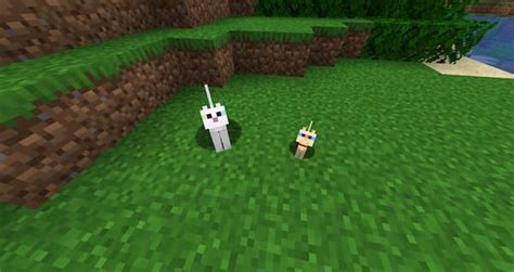 Minecraft Guide: How to tame each animal in the game - GamingonPhone