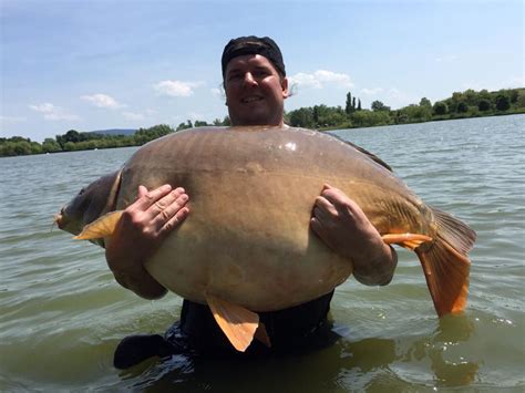 World record carp venue gives 101 lb 8 oz giant! - Angler's Mail