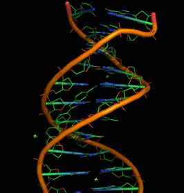 DNA double helix rotating animation gif | Dna art, Dna, Animation