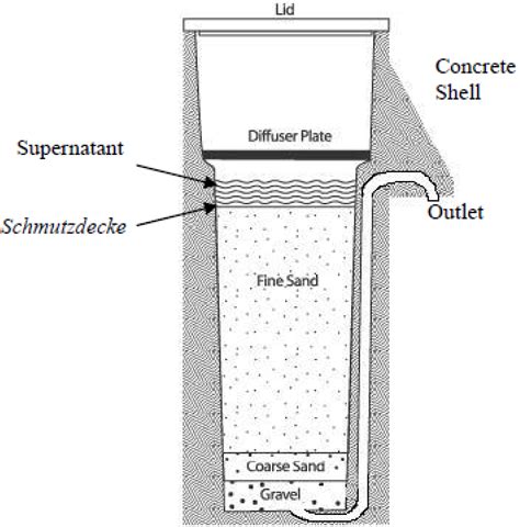 IJERPH | Free Full-Text | Risk Assessment of the Schmutzdecke of Biosand Filters: Identification ...