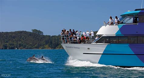 Bay of Islands Full Day Tour with Hole in the Rock Dolphin Cruise ...