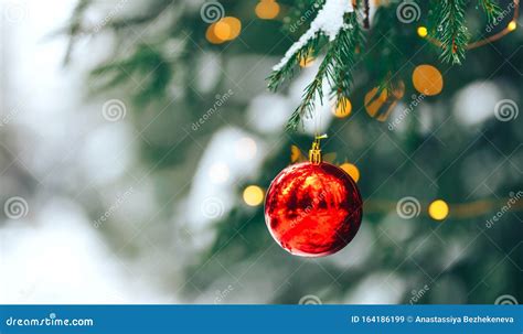 Christmas Balls on Tree Outdoor Stock Image - Image of decorated, holiday: 164186199