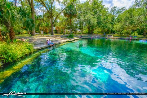 Juniper Springs Ocala National Forest Silver Springs Florida | Royal ...