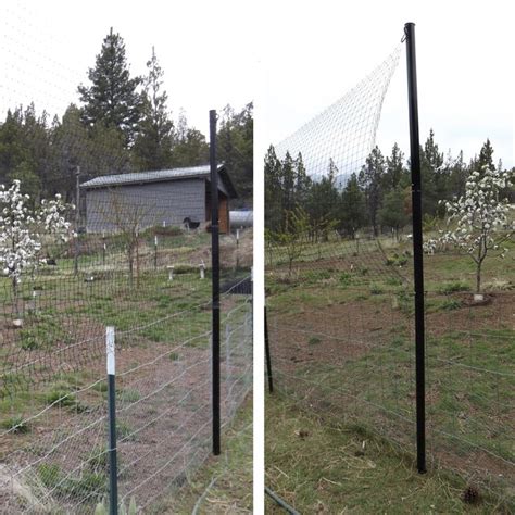 Steel Pole Deer Netting Install using T-Posts | Deer netting, Bird ...