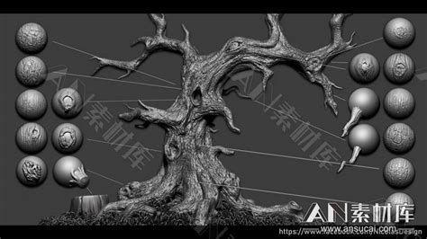 ZBrush笔刷-植物枯树木树皮裂痕树枝树干树根雕刻zb树皮zb木头-AN素材库